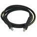 Hydraulic Hose Assembly 1/4 ID x 10 ft.