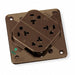 Receptacle Brown 20 A 2P3W Back 1PK