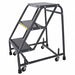 Stock Picking Roll Ladder Steel 30 In.H