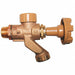 Anti-Siphon Hose Bibb 1/2 In Brass