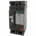 Circuit Breaker 150A 2P 480VAC TED