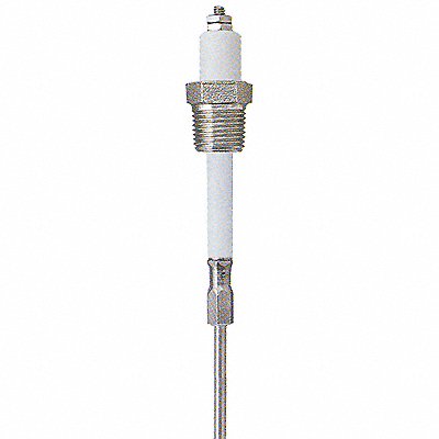 Liquid Level Probe 12 In 3/4 NPT