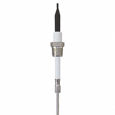 Liquid Probe 12 In 3/4 NPT 10 Ft Cable