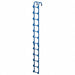 Storage Tank Ladder 12 ft 3 In H Steel