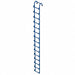 Storage Tank Ladder 15 ft 3 In H Steel