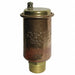 Automatic Air Vent Brass 3/4 x 1/2 in