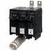 Circuit Breaker 20A Bolt On 240V 2P