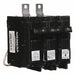 Circuit Breaker 70A Bolt On 120/240V 2P