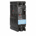 Circuit Breaker 60A 2P 240VAC ED2