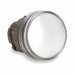 Pilot Light Head White LED