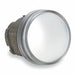 Pilot Light Head Clear 22mm Incandescent