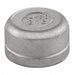 Round Cap 316L SS 1 1/2 in Female NPT