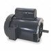 50 Hz Motor 1/3 HP 1 425 RPM 110/220V