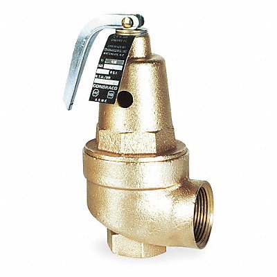 Safety Relief Valve 1-1/4In 30psi Bronze