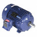 Motor 20 HP 1775 rpm 256T 230/460V