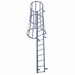 Fixed Ladder w/Safety Cage 11 ft 3 In H