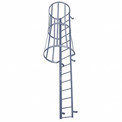 Fixed Ladder w/Safety Cage 10 ft 3 In H