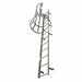 Fixed Ladder w/Safety Cage 21 ft 3 In H