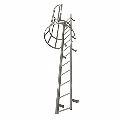 Fixed Ladder w/Safety Cage 17 ft 3 In H