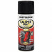 Spray Paint Black 12 oz.