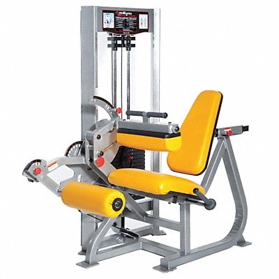 Extension/Seated Leg Curl 62x45x69 in