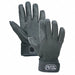 G4833 Rappelling Glove Black M PR