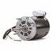 Motor 1/3 HP 1100 rpm 56Z 115V