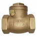 Swing Check Valve Brass 1/2 FNPT