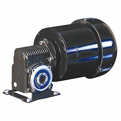 AC Gearmotor TEFC 55RPM 230V AC