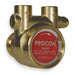 Pump Rotary Vane Brass