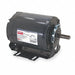 50 Hz Motor 1/2 HP 1 425 RPM 110/220V 56