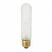 Bulb Incandescent 25W T10 Medium Base