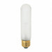 Bulb Incandescent 40W T10 Medium Base