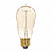 Bulb Incandescent 60W ST19 Medium Base