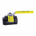 Manual Two-Way Ball Valves