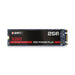 DRIVE,SSD,256GB,M2,INT