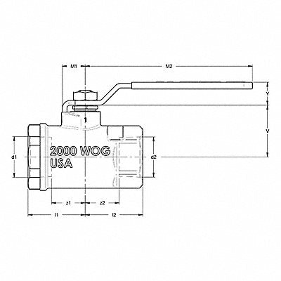 CF8M SS Ball Valve FNPT 1-1/4 in