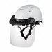Face Shield Assemblies