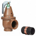 Temperature and Pressure Relief Valve