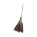 DUSTER,OSTRCH,FTHR,31",BN