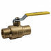 Ball Valve 600 psi 2 in Pipe Size