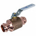 Ball Valve 300 psi 2 in Pipe Size