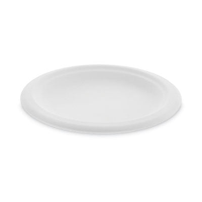 PLATE,EARTHCHOICE 6",NT