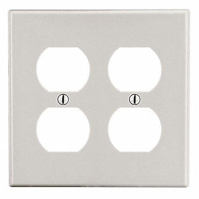 Duplex Receptacle Wall Plate 2 Gangs