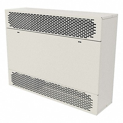 Cabinet Unit Heater with BMS