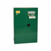 Pesticides Safety Cabinet Green