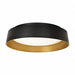 RndLEDMnt 19.5in 5000K 4000lm Blk/Gold