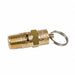 Safety Valve 1/4 NPT