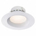 Round Retrofit Downlight