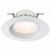 Round Retrofit Downlight